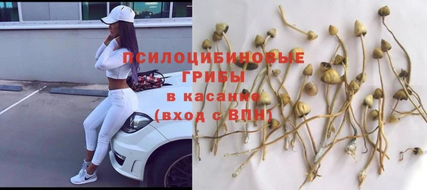 не бодяженный Болохово