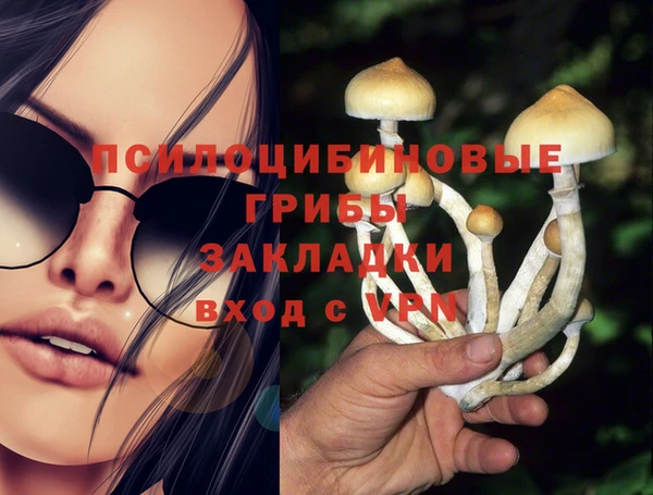 дурь Медногорск