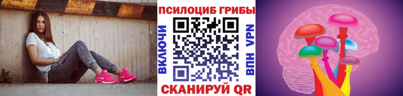мориарти состав Опочка Псилоцибиновые грибы Psilocybine cubensis